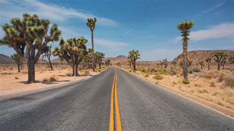 Download Wallpaper 2048x1152 Road Desert Mountains Cacti Landscape