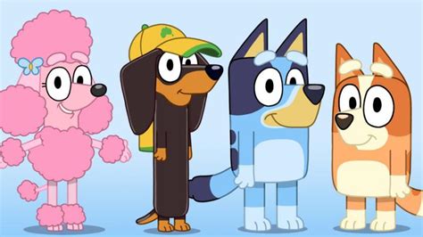 Which Bluey Character Are You Cbeebies Bbc