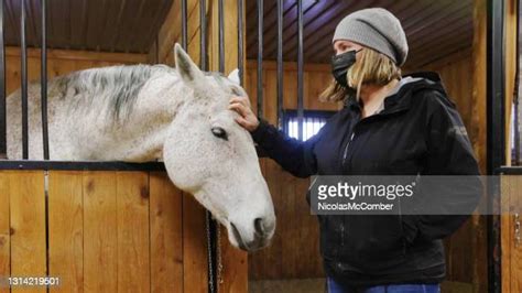 Coach And Horses Photos Et Images De Collection Getty Images