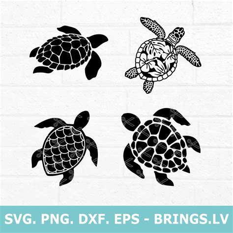 Sea Turtle Svg Sea Turtle Svg Bundle Png Dxf Eps Cut Files