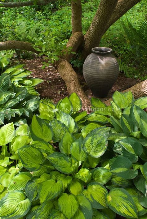 206 Best Garden Pots And Urns Images On Pinterest Garden