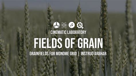 Fields Of Grain Monome Grid Grainfields Vst Vs Instruo Arbhar