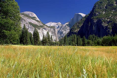5 Of The Best Things To Do In Yosemite National Park Ambition Earth