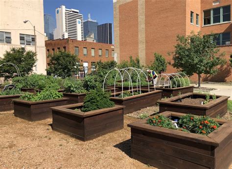 Sobo Revitalizes Horticultural Therapy Gardens The Stewpot