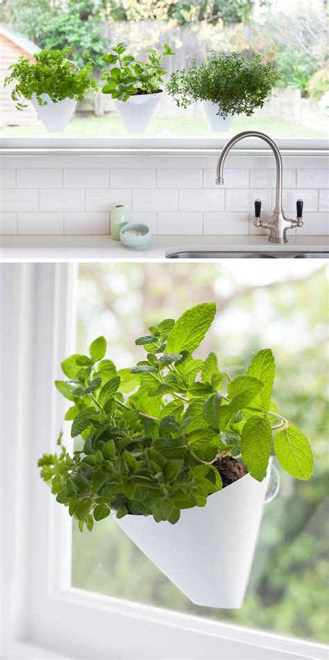 Indoor Garden Idea Hang Your Plants From The Ceiling