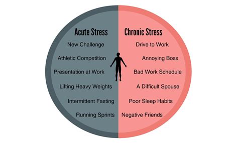 Acute Vs Chronic Stress Header Colin Champ