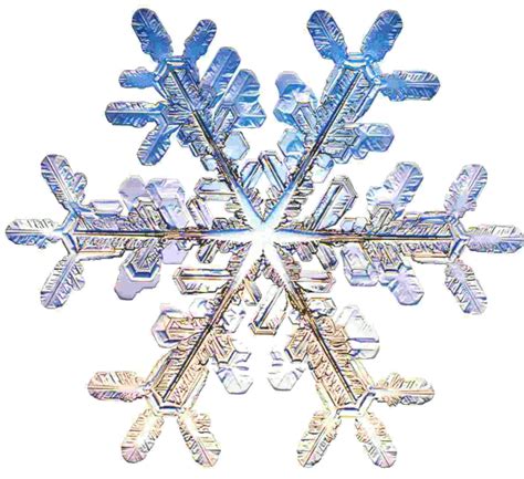 Snowflake Model By David Perkins