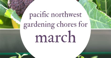 Vegetable Garden Pacific Northwest Fasci Garden