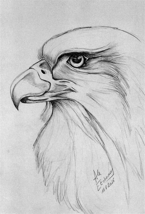 25 Best Ideas About Dibujos A Lapiz Faciles On Pinterest Dibujos