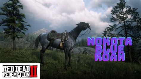 Nokota Blue Roan Red Dead Redemption 2 Youtube