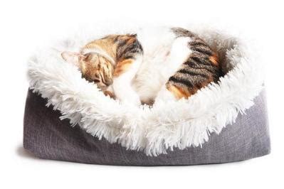 Buy the best and latest cat calming bed on banggood.com offer the quality cat calming bed on sale with worldwide free shipping. The Best Cat Beds (According to Our Cats) | Reviews by ...