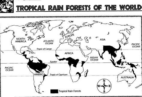 Check spelling or type a new query. map1.gif (799×548) | Rainforest map, Tropical rainforest ...