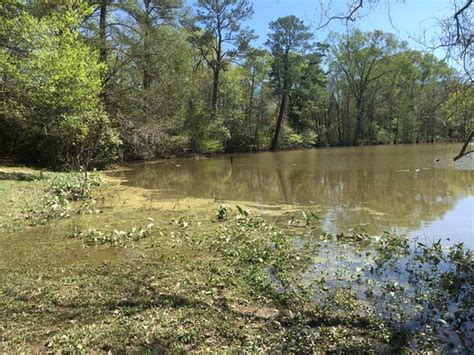 John Schneiders Louisiana Film Studio Flooded