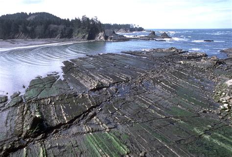 Wave Cut Platform Oregon Coast Geology Pics