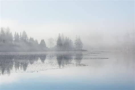 Foggy Morning On The Lake Stock Image Image Of Trees 174003421