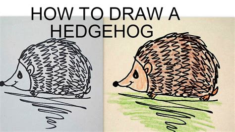 Draw A Hedgehog Easy Drawing Lessons For Kids Youtube