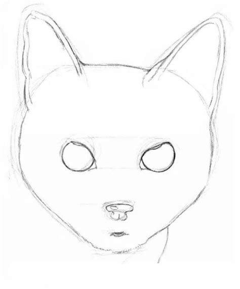 How To Draw A Cats Head Step By Step Drawing Tutorial