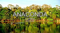 Anaconda - Cumbia Karaoke HD - YouTube