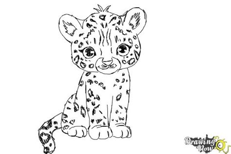 Cheetah Drawing Easy Cartoon How To Draw A Cartoon Cheetah