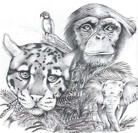 Unfinished Drawing Of Jungle Animals That Im Working On Drawn In