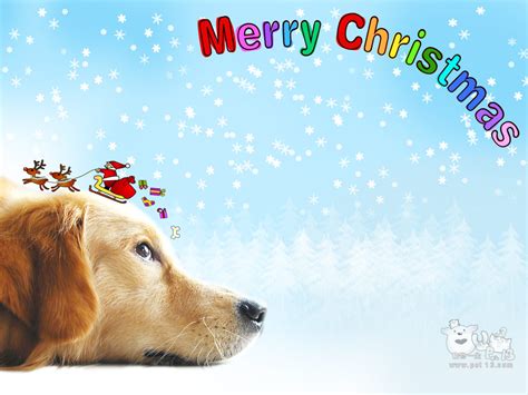 Download Christmas Dog Wallpaper By Jeffreym81 Christmas Pets