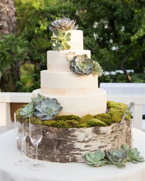 Rustic Wedding Ideas Birch Succulents Wedding Cake Deer Pearl Flowers