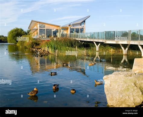 Attenborough Visitors Centre And Nature Reserve Nottinghamshire