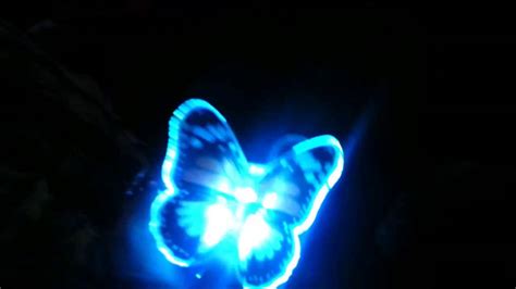 Real Glowing Butterfly Building Your World Glowing Butterflies