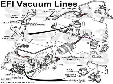 Ford Expedition Vacuum Hose Diagram Industries Wiring Diagram