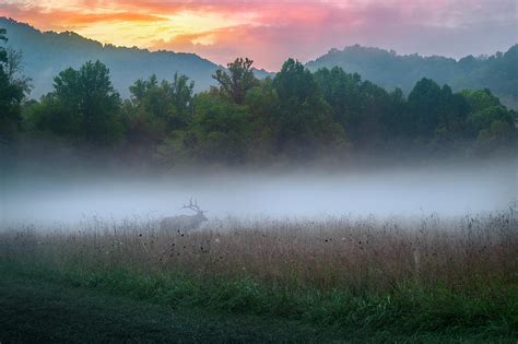 Smoky Mountain Sunrise Photograph By Medlin Photography Fine Art America