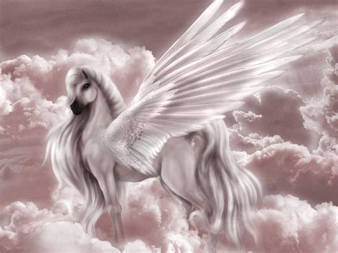 Pegasus And Unicorn Fantasy Animals Wallpaper 13992178 Fanpop