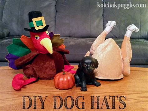 Easy Diy Holiday Hats For Dogs Kols Notes