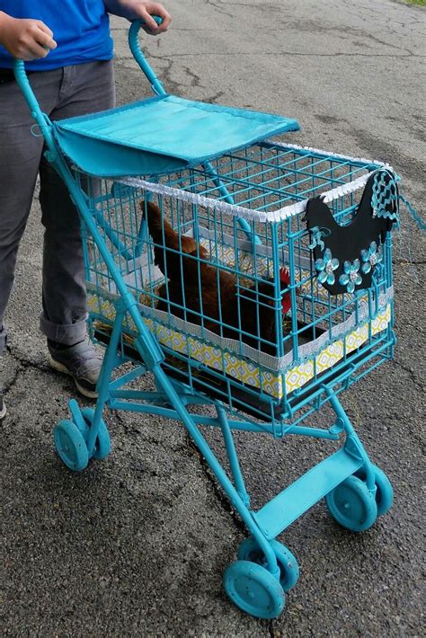 I did need to add more liquid to make the dough workable. Chicken Stroller ~ I made this for my daughter as her ...