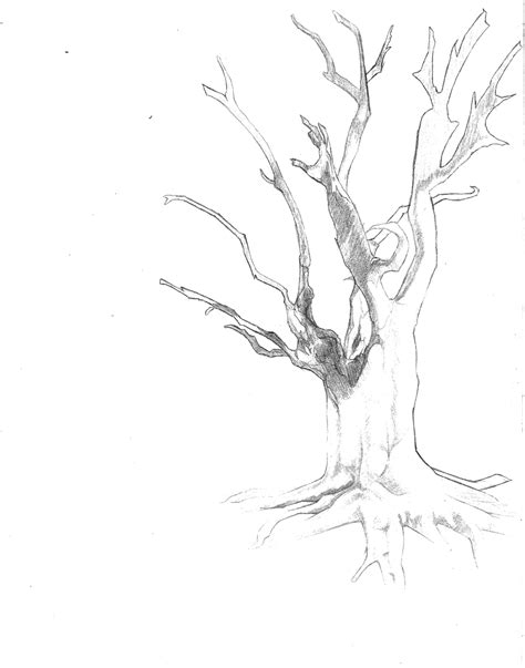 Tree Study By Davonbon On Deviantart