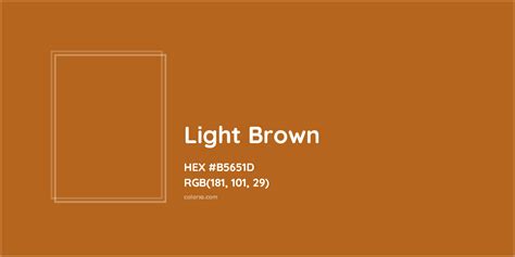 Light Brown Color Codes The Hex RGB And CMYK Values That