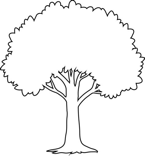 The Outline Of The Tree Is Black 9515360 Vector Art At Vecteezy