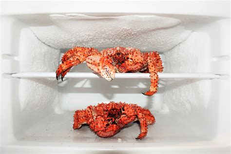 Video istruttivo su come cucinare una granseola gigante se vi fa piacere tradurre in altre lingue i sottotitoli di questo video o di altri nostri video, vi saremo grati e potete farlo autonomamente alla. Come usare la polpa di granchio in cucina | CucinoFacile.it