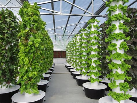 Aeroponic Growing Tower Krishi Indoor Farm Ltd