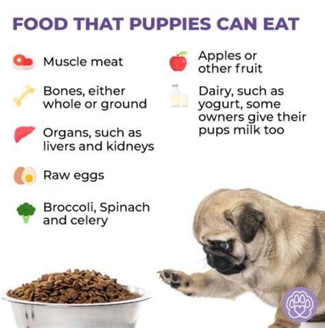 Types Of Food That Can Make Your Pups Happier And Healthier