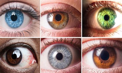 Science Your Eye Color Reveals A Lot About You Natural Healing