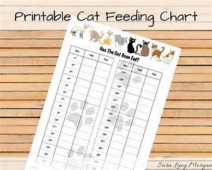Monthly Printable Cat Feeding Chart Cat Food Schedule Pet Etsy