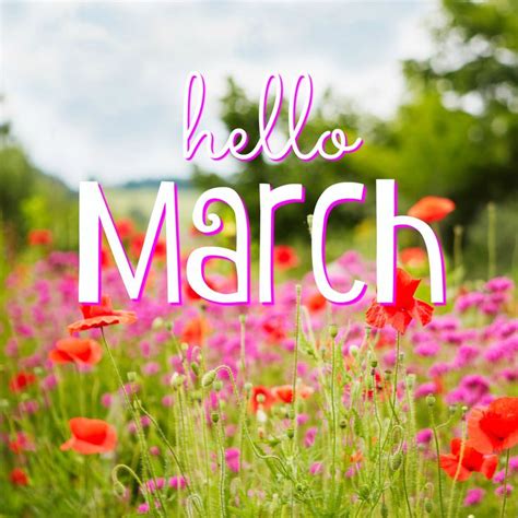 Happy March The Start Of This Month Makes Us Even More Excited For