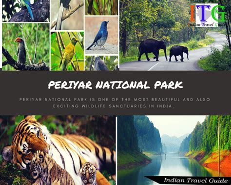 Itg Periyar National Park Kerala Periyar Wildlife Sanctuary Periyar