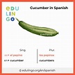 Cucumber in Spanish • Writing and pronunciation (with pictures)