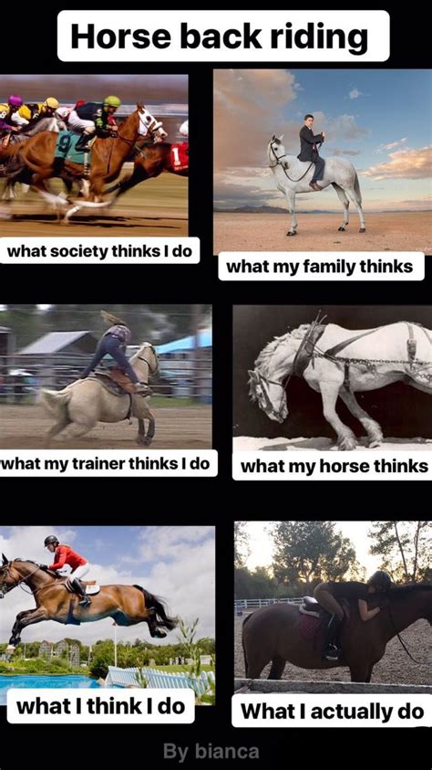 Equestrian Problems Horses Funny Funny Horse Meme Horsememe