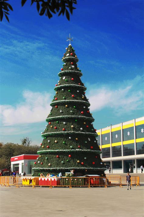 Giant Christmas Tree At Uni Rchristmas
