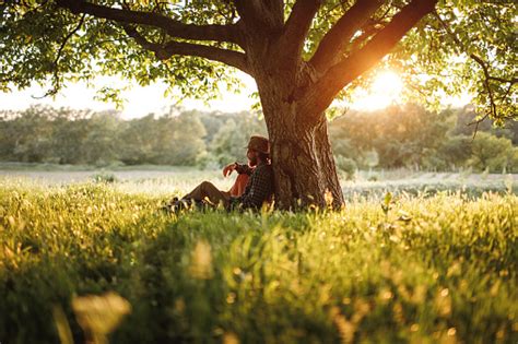 Bearded Man Relaxing Under Tree In Nature Stock Photo Download Image