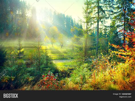 Autumn Nature Scene Beautiful Morning Misty Old Forest And Meadow With