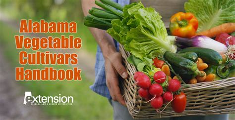 Alabama Vegetable Cultivars Handbook Alabama Cooperative Extension System
