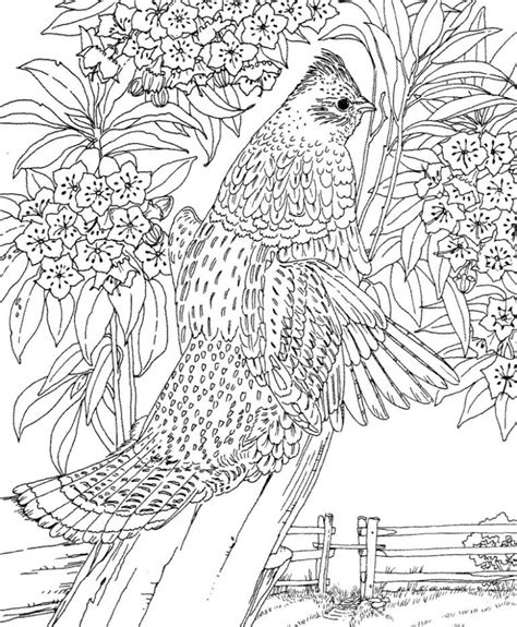 printable difficult animals coloring pages  adults oi